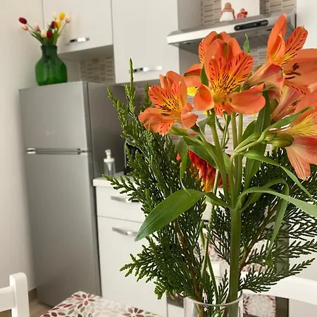Donna Filomena Apartment